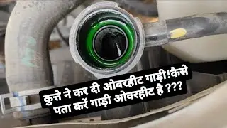 कुत्ते ने कर दी ओवरहीट गाड़ी!कैसे पता करें गाड़ी ओवरहीट है How to check Vehicle is over heat or not?