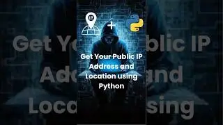 Get Your Public IP Address and Location in Python
