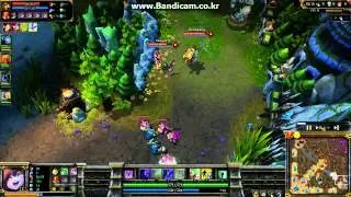 Lulu E+Q