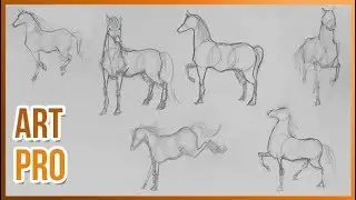 How to draw HORSES step by step 🐎 [METHOD]