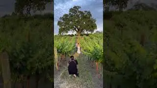 Perfect wedding photos!
