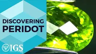 PREVIEW: What makes Peridot special?