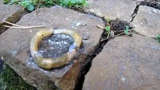 Как размножаются СЛИЗНИ.