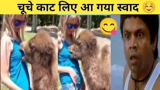 chu#che kaat liye | funny roasting | asleel instagram reels | tiktok funny video |