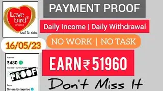 LoveBird New Earning App | 16/05/23 | Paymen Proof | Earn ₹51960 | Full Detailed Video 🔥🔥