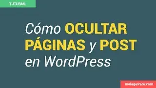 Cómo ocultar páginas y posts del buscador de WordPress