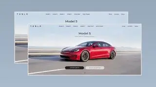 Tesla Home Page using Tailwind CSS