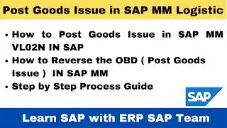 How to Post Goods Issue in SAP MM VL02N, II How to Reverse the OBD ( Post Goods Issue ) in SAP II