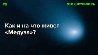 Галина Тимченко отвечает на вопросы слушателей