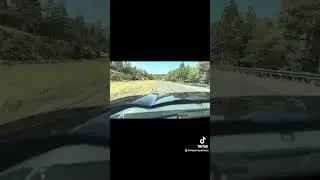 #shortsvideo #parati #viralvideo #fypシ゚viral #pinos #sierra #az