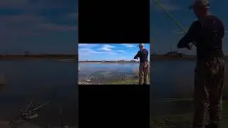 САЗАНЫ,СОМЫ И БОНУС !!!#fishing #рыбалка #carpfishing #carp #fish #карп #природа #shorts  #рыба