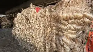 Akij jute mills Ltd. |  Jessore  |  আকিজ জুট মিল | যশোর |