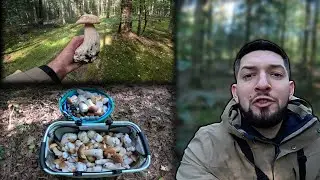 NIESAMOWITY wysyp GRZYBÓW w ŚWIĘTOKRZYSKIM !!!