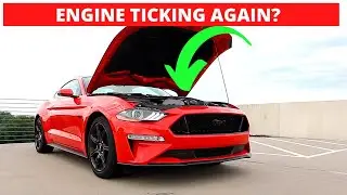 2019 Mustang GT Coyote Engine Tick | Is It Fixed? *UPDATE*