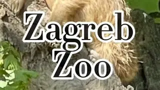 Zagreb Zoo in Croatia 🇭🇷