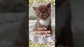 ПУСТЬ ЧУДЕСНЫМ БУДЕТ ДЕНЬ !  ЯРКИМ, СОЛНЕЧНЫМ И НЕЖНЫМ ! ... 