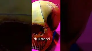 skull model science model #skull #anatomy #shortsfeed #shortsyoutube #shortsvideo #shorts #biology