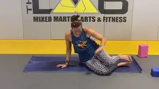 THE MMA LAB Live Stream