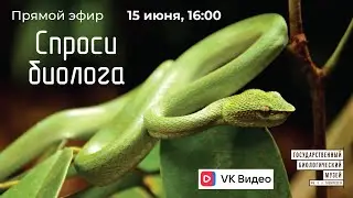 Спроси биолога. Змеи
