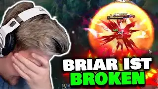 BRIAR ist SUPER BROKEN + 10 Reports an einem Tag