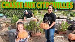Chasse aux CITROUILLES pour HALLOWEEN