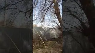 дискотека оваленок