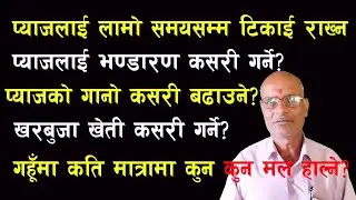 प्याजको भण्डारण कसरी गर्ने? | गहुँमा कुन मल कति मात्रामा हाल्ने? | तपाईको जिज्ञासा बिज्ञको सुझाव -2