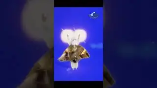 wonderful greenscreen cape #childrenofthelight #cotl #sky #skycotl #skymemes #thatgamecompany #tgc