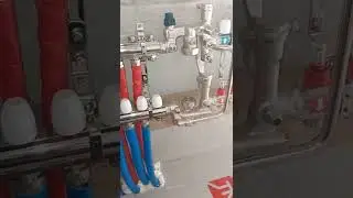 Ребята! Вы меня все спрашиваете! Кто тебя спрашивает?