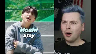 TOO SWEET (호시 (HOSHI) - STAY Reaction)
