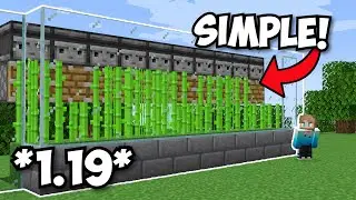 Minecraft's Best Sugarcane Farm | 1.19+ Tutorial