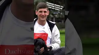 Смотрели видео про такс?) Мне кажется это лучшее породное видео на канале!)