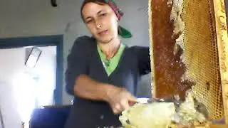 Пасека. Обрезка медовых рамок.