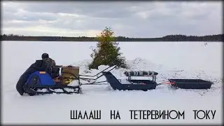 Шалаш на тетеревином току. Поиск тетеревиного тока по снегу.