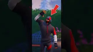 Does My Random Duo Have THIS Fortnite Skin 🤔