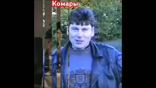 Сектор газа. Комары.