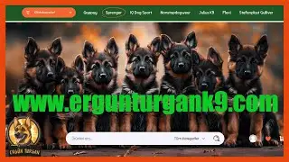 KALİTELİ KÖPEK MALZEMELERİ #almankurdu