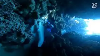 Red sea marsa alam dolphin house clown fish and the cave البحر الاحمر دولفين هاوس سمكة المهرج والكهف