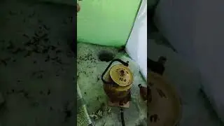 Село.Яповое половинский район курганская обл
