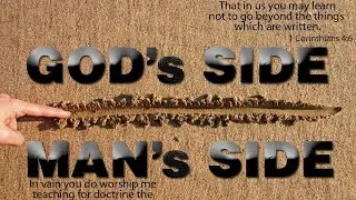 WHOSE SIDE ARE YOU ON???