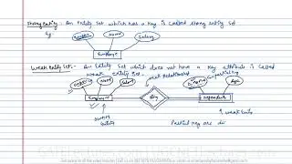 Database Management System 11 Strong Entity vs Weak Entity