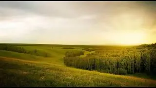 Thunder, rainfall and birdsong, nature sounds