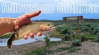 The HARDEST fish to catch in Nevada | Flyfishing for the Yellowstone Cutthroat | HTM E16