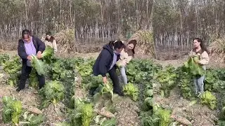 She was wronged by the thief｜New Funny and Fail Videos 2024 | Part37