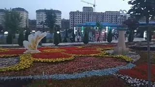 06. Продолжаем гулять по парку 