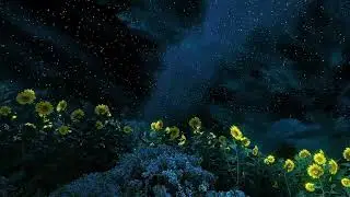 beautiful