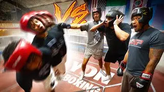YDN BOXING