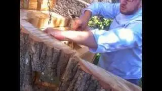 Bienenschaubaum auf dem Turmberg