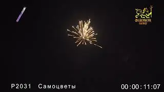 Р2031Самоцветы 1  х8 зарядов
