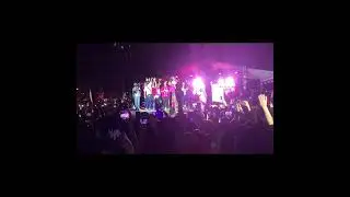 Ceboom Highlights